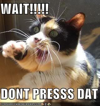 image: funny-pictures-cat-asks-you-to-not-press-that