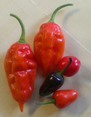 f8bb8806-6a4e-4601-b51b-86b9fabe3968_zps