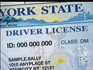 drivers license photo: drivers license drivers-license1.jpg