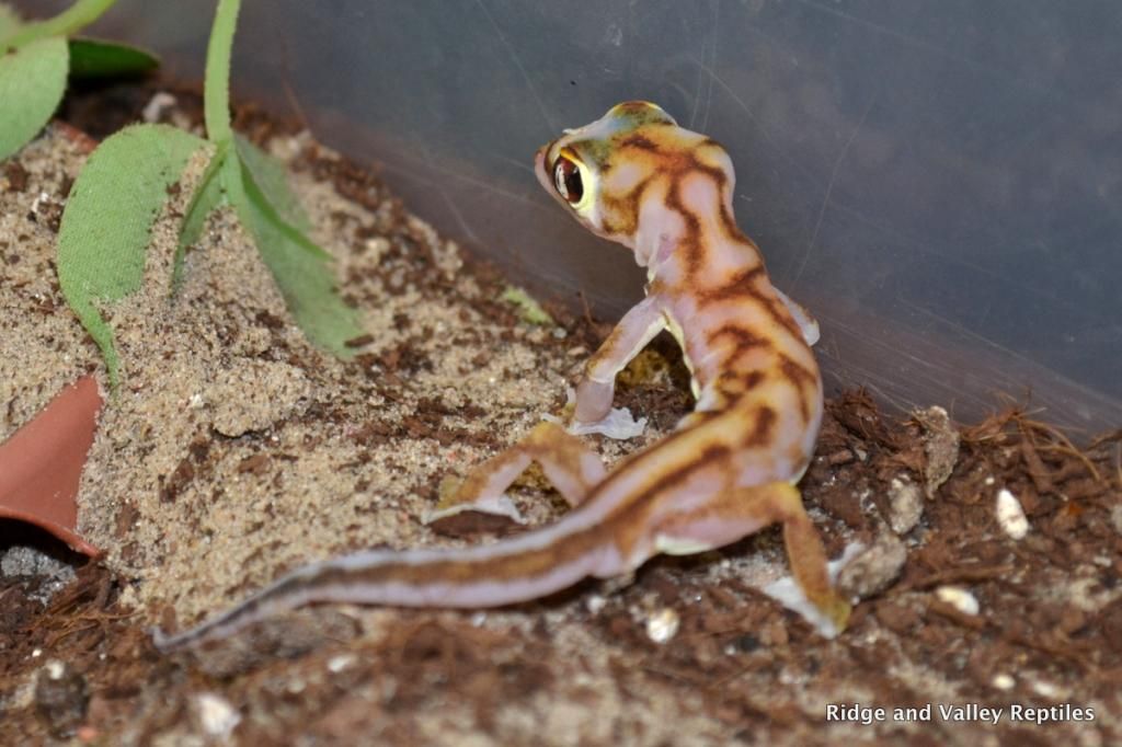 DSC_0884_zps471bcbc0.jpg
