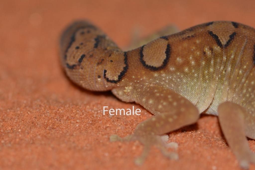 Image3_zps07d2d8b5.jpg