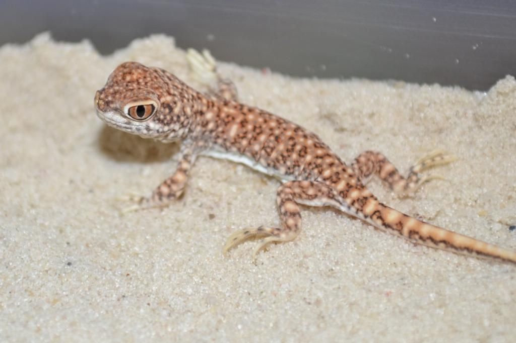 DSC_1673_zps1a91f7f1.jpg