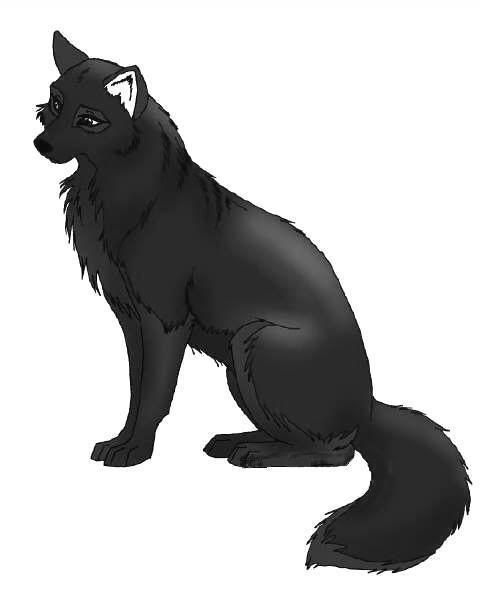 Black Anime Wolf Pictures