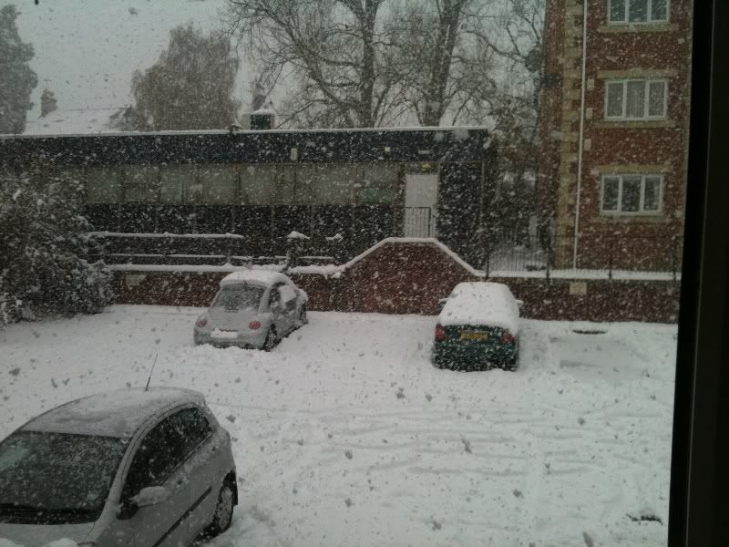 darlo_snow_2010.jpg