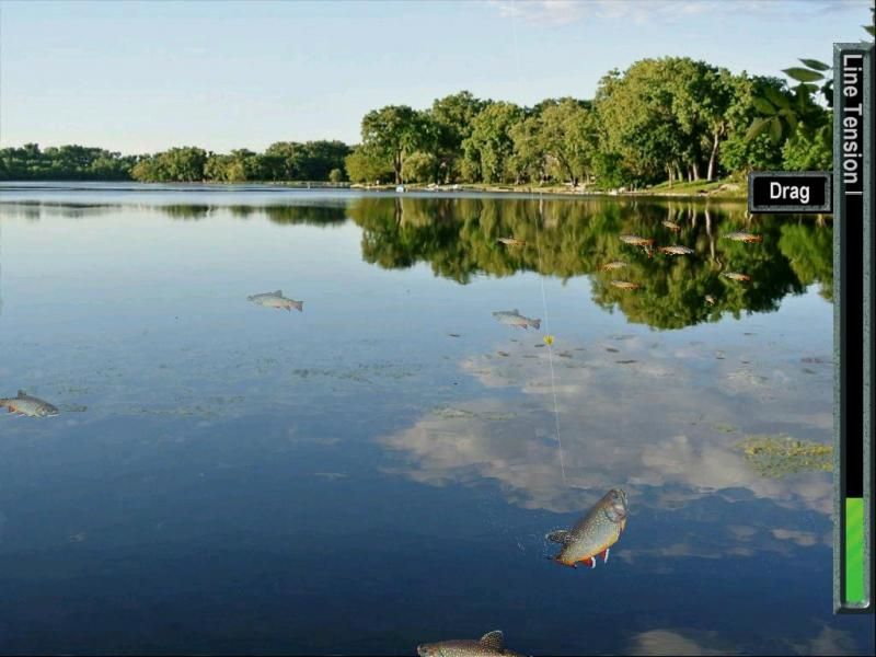 pishtech.com â€¢ View topic - A beautiful Spawning Brook Trout Male for you!