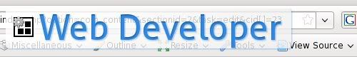 mozilla-plugin-webdeveloper
