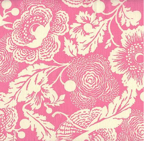 Amy Butler fabric 3 Amy Butler fabric 3