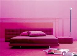 monochromatic color scheme4