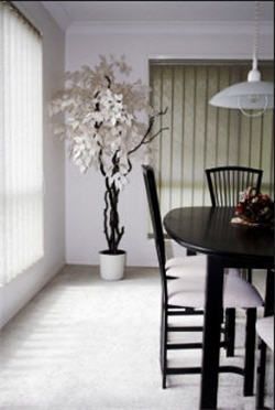 monochromatic color scheme3