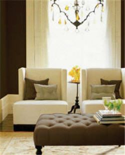 monochromatic color scheme2