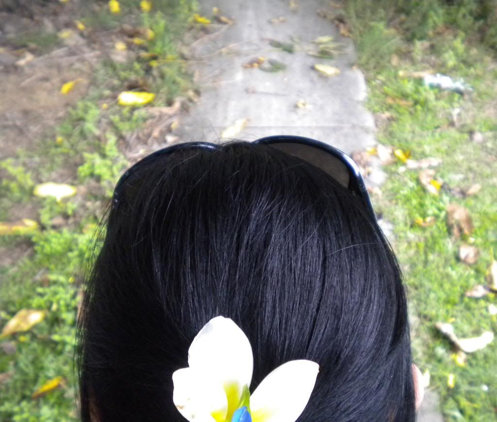 Brisbane220.jpg Flowers in my hair picture by SheriLand