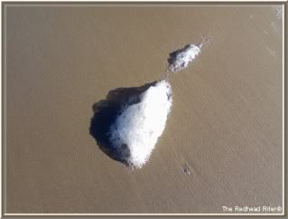 sea foam on the sand