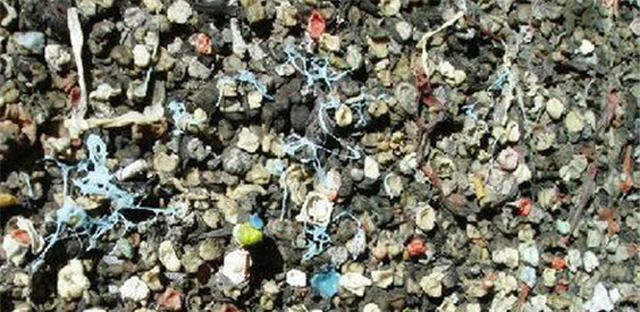 Bubble Gum Alley is located in San Luis Obispo CA