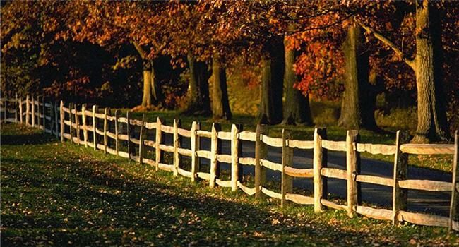long fence with autumn leaves