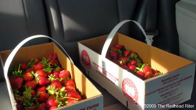 our picked strawberries