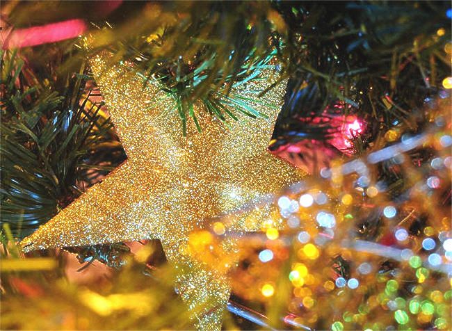 inside tree with ornaments and lights