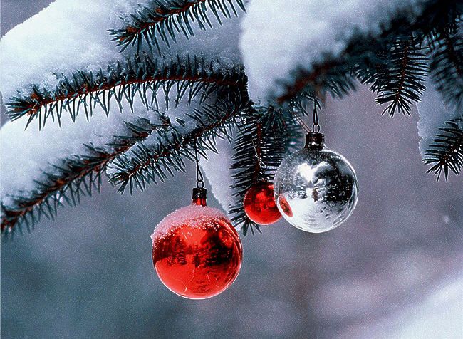 outside tree with ornaments in snow