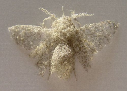 Paul Hazelton's work called Moth-er