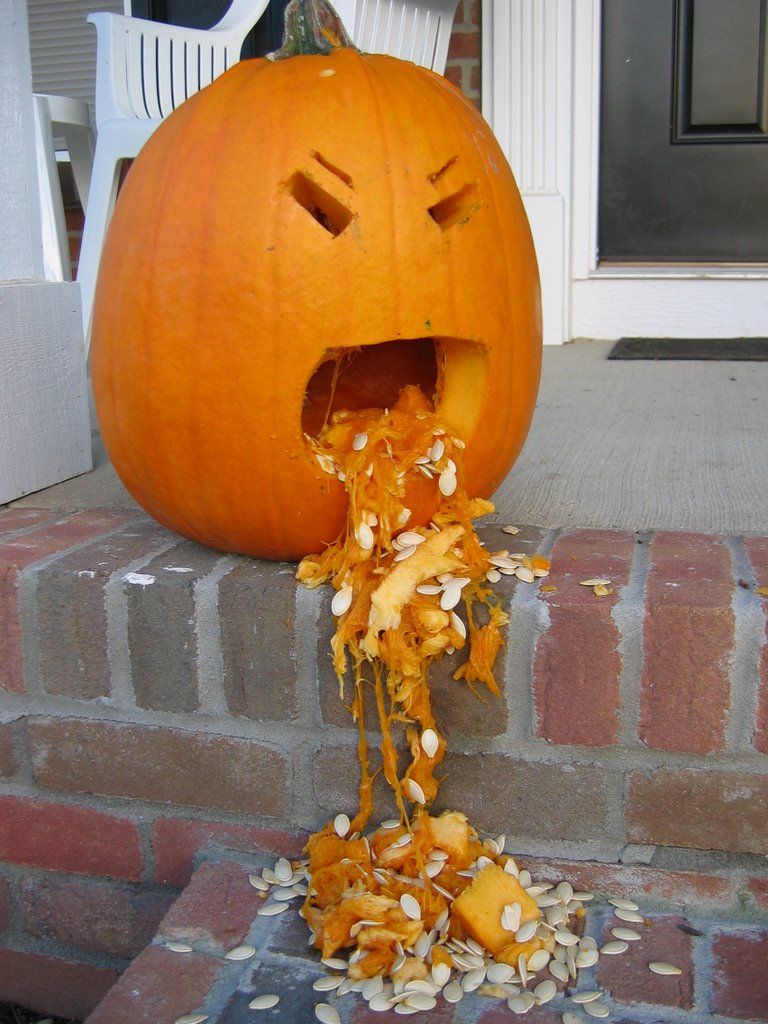 pumpkin throwing up