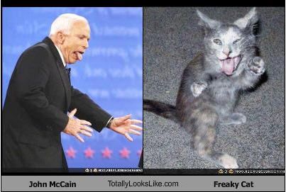 John McCain