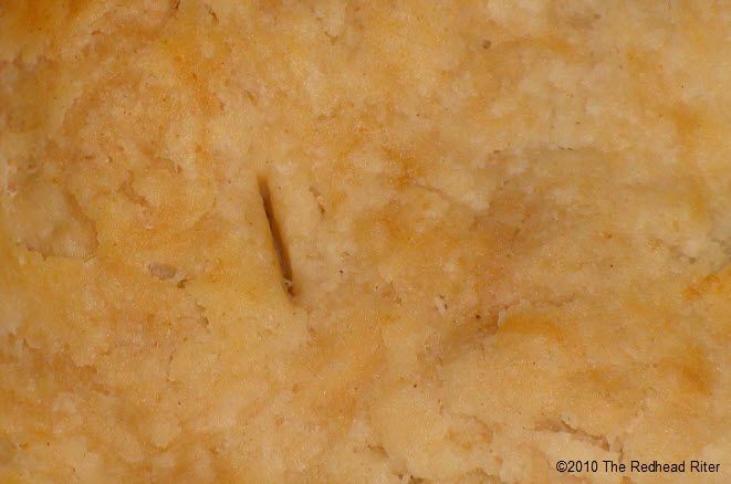 slits in the apple pie crust