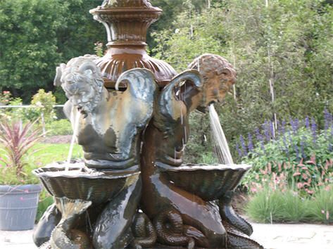 vomiting fountain