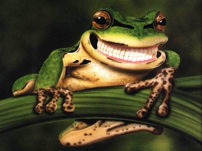 smiling frog