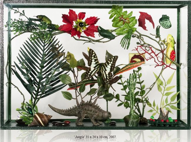 Maïssa Toulet curiosity cabinet called Jungle