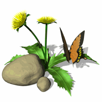 dandelion and butterfly
