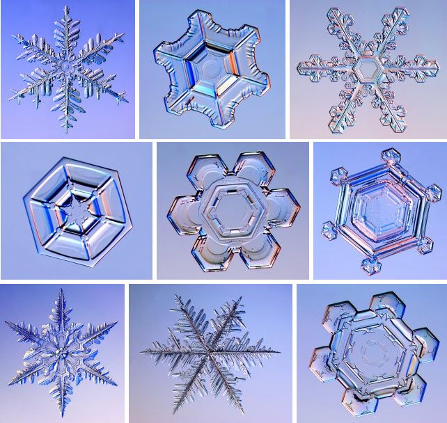 snowflakes