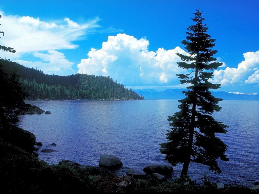 skipping rocks on the lake