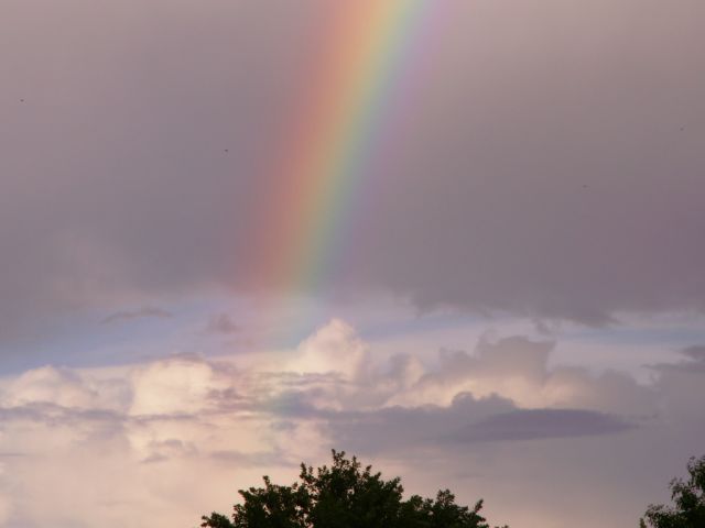 rainbow