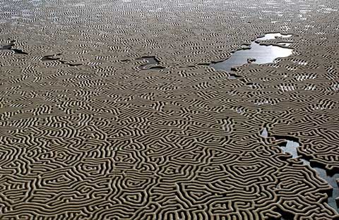 Motoi Yamamoto salt art 4