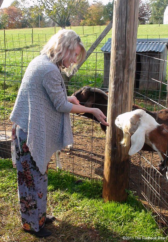 Goats on Graves Mountains