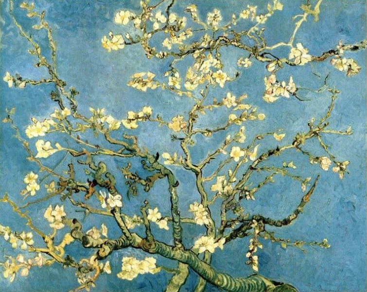 Almond Branches in Bloom by Vincent van Gogh