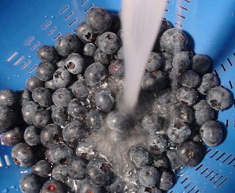 wash the blueberries
