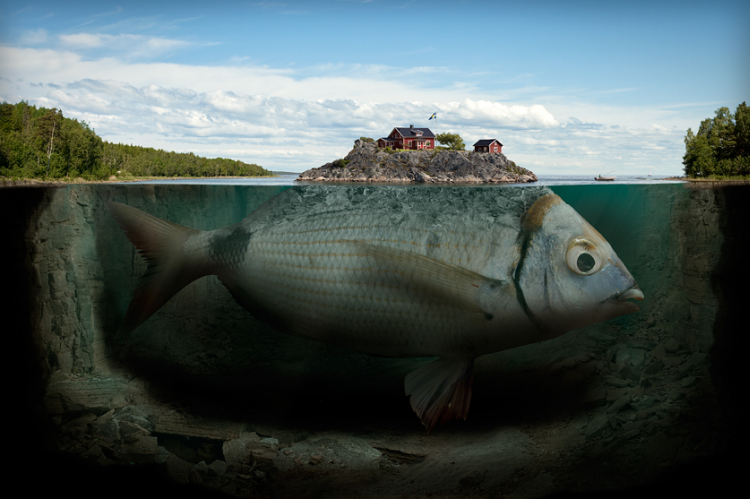 Erik Johansson 5