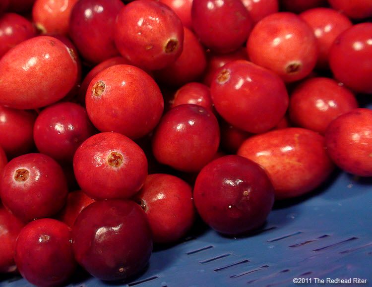 No Bake Cranberry Walnut Fruit Spread - cranberries