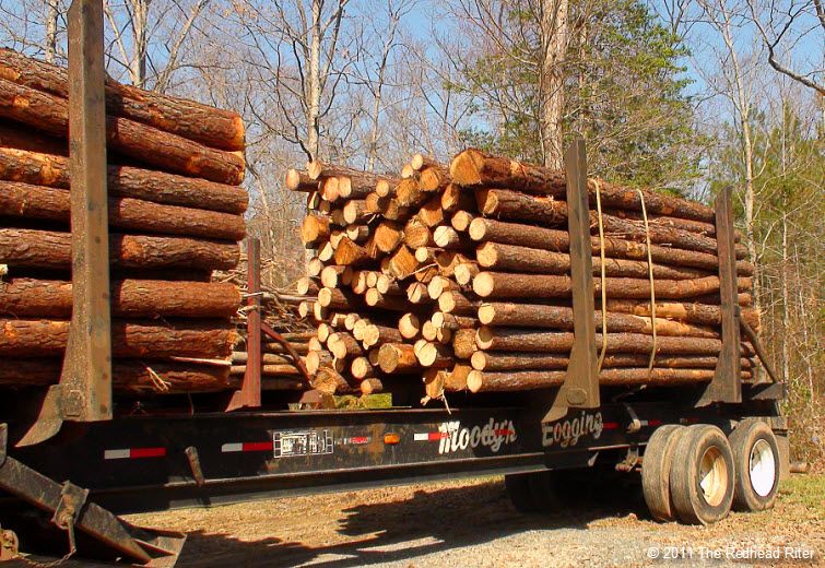 Logs are a heavy load like grudges