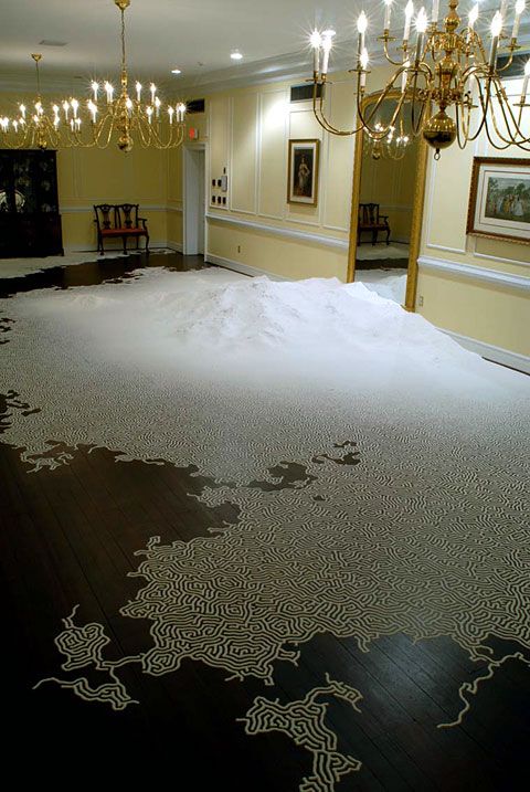 Motoi Yamamoto salt art 10