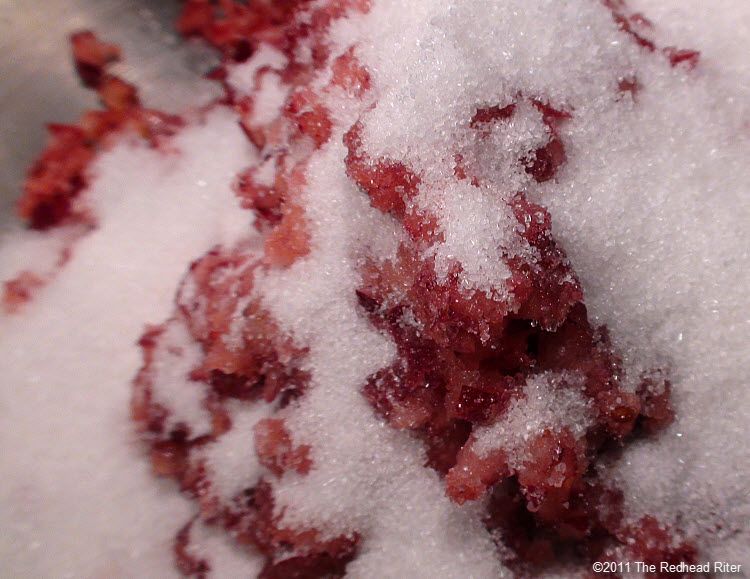 No Bake Cranberry Walnut Fruit Spread - add sugar