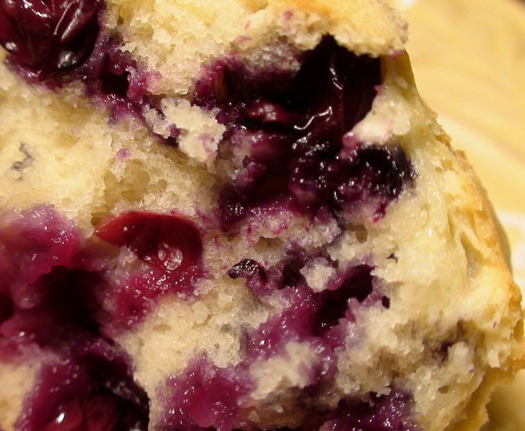 Blueberry Sour Cream Muffin Lemon Surprise