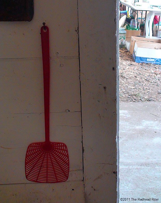 fly swatter