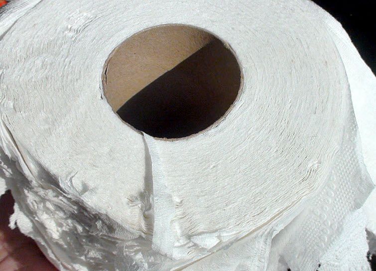 toilet paper