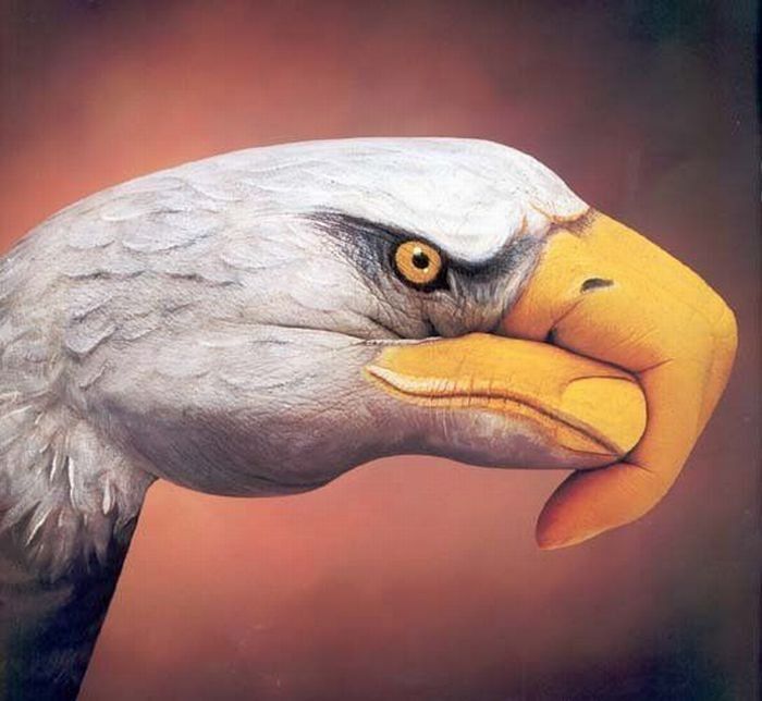 eagle