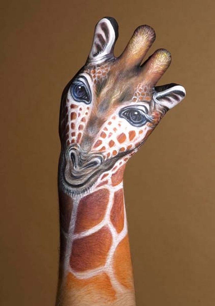 giraffe