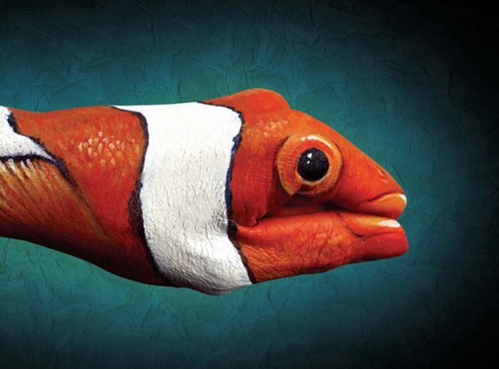 nemo fish