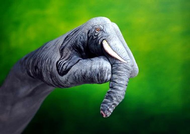 elephant with tusk
