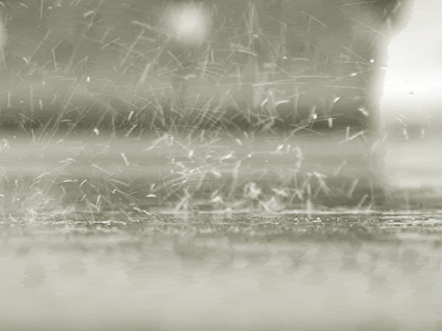 raindrops on pavement
