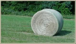 big roll of hay